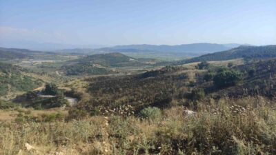 Manisa’nın Akhisar ilçesinde çıkan orman yangını, hızlı bir şekilde kontrol