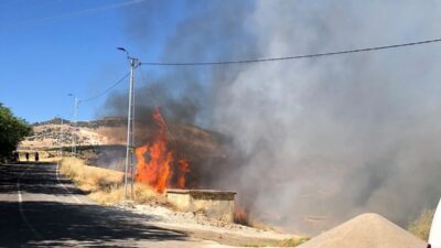 Adıyaman’da, bir karganın elektrik akımına kapılarak alev alması sonucu bahçe