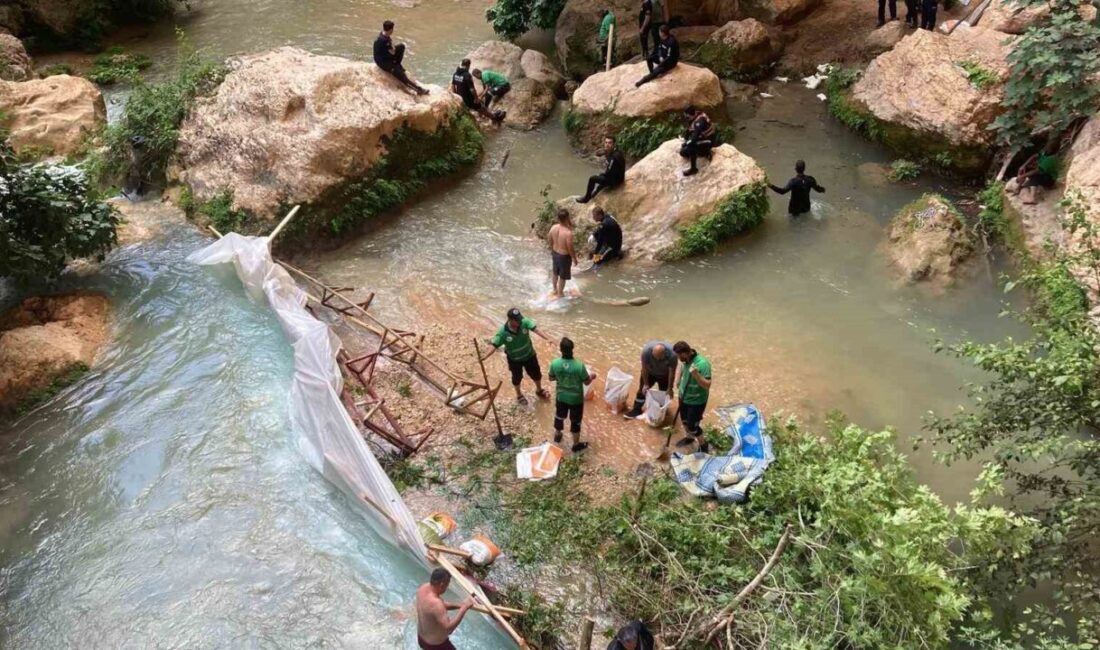 Mersin’de bir vadi içerisinde suda akıntıya kapılarak sıkışan ve hayatını