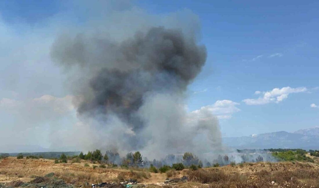 Antalya’nın Aksu ilçesinde meydana gelen orman yangınına, Orman Bölge Müdürlüğü