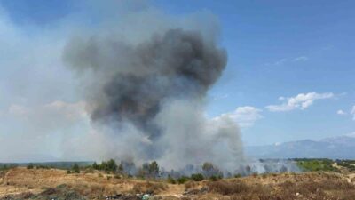 Antalya’nın Aksu ilçesinde meydana gelen orman yangınına, Orman Bölge Müdürlüğü
