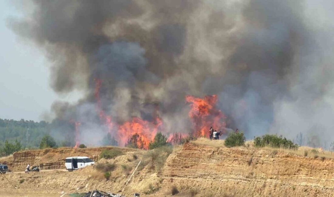 Antalya’nın Aksu ilçesinde meydana gelen orman yangını, Orman Bölge Müdürlüğü
