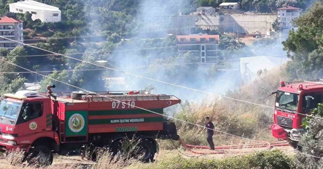 Alanya ilçesine bağlı Değirmendere Mahallesi’nde muşmula ve zeytin ağaçlarının bulunduğu
