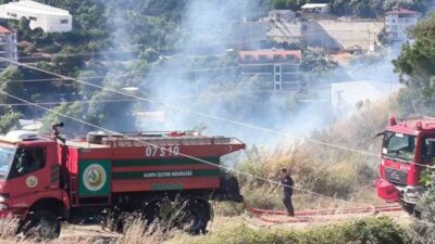 Alanya ilçesine bağlı Değirmendere Mahallesi’nde muşmula ve zeytin ağaçlarının bulunduğu