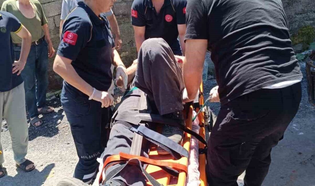 Alaplı ilçesinde tarım aracı olarak bilinen ‘pat-pat’ın devrilmesi sonucu 2