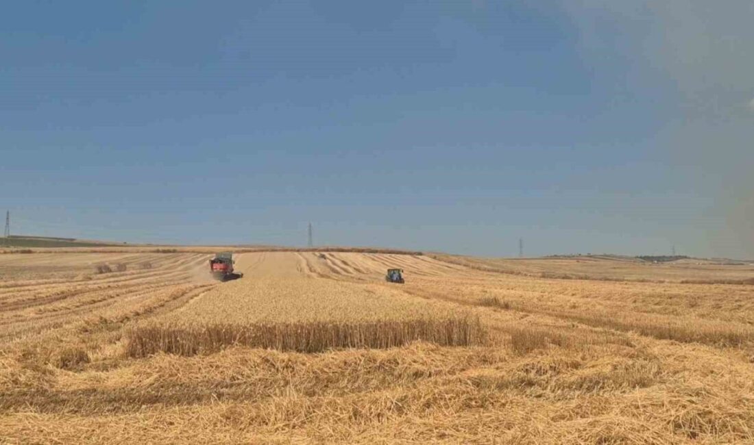 Marmaraereğlisi ilçesindeki tarla yangını rüzgarın etkisiyle yayılarak biçerdöverlerin hızla hasat