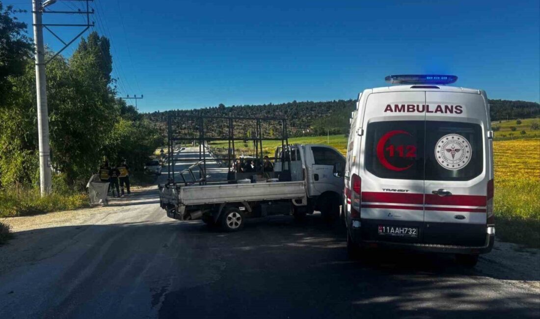 Bilecik’te bir trafik kazası meydana geldi; ambulans ile kamyonet çarpıştı.