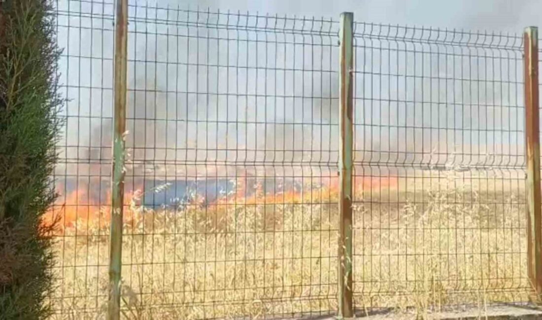 Anız yangını, Şanlıurfa’nın Haliliye ilçesindeki Görme Engelliler İlk ve Ortaokulu’nun