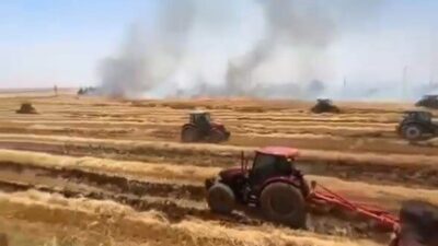 Viranşehir ilçesinin Eşkin Mahallesi Giyimli Mezrası’nda çıkan anız yangını, büyük