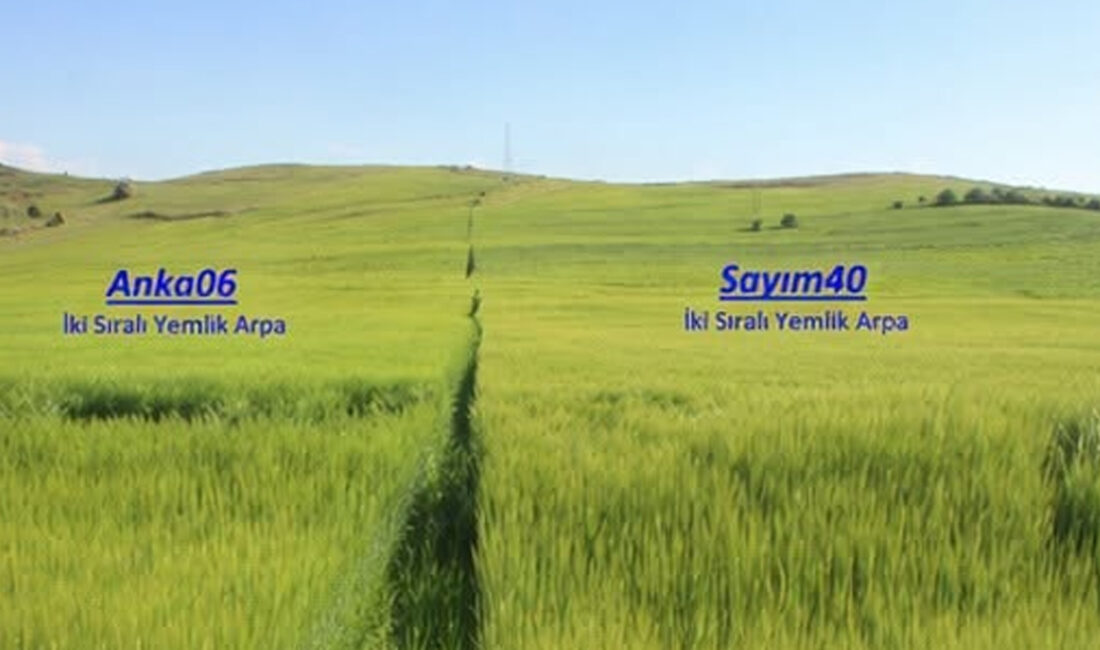 Yozgat İl Tarım ve Orman Müdürlüğü tarafından yürütülen tarımsal geliştirme