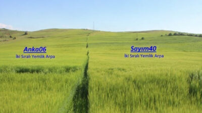 Yozgat İl Tarım ve Orman Müdürlüğü tarafından yürütülen tarımsal geliştirme