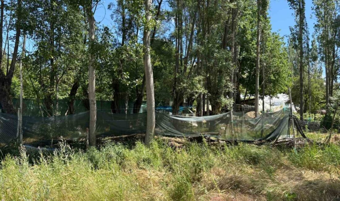 Ankara’da bir kadının kocası tarafından bıçaklanarak öldürülmesi olayıyla ilgili firari