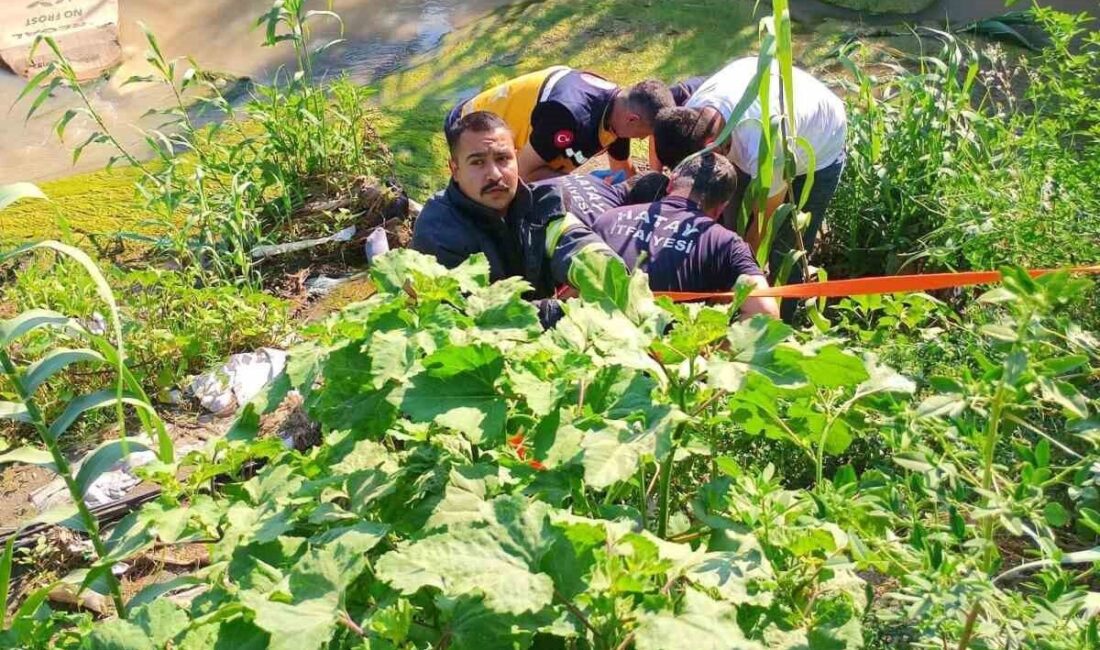 Hatay’da Antakya ilçesinde meydana gelen olayda, bir motosiklet sürücüsü direksiyon