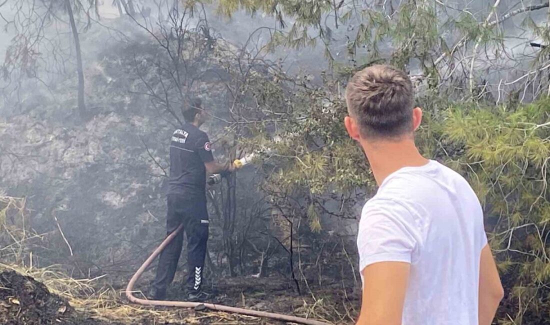 Aksu ilçesindeki ormanlık alanda meydana gelen yangın, ekiplerin müdahalesiyle büyümeden