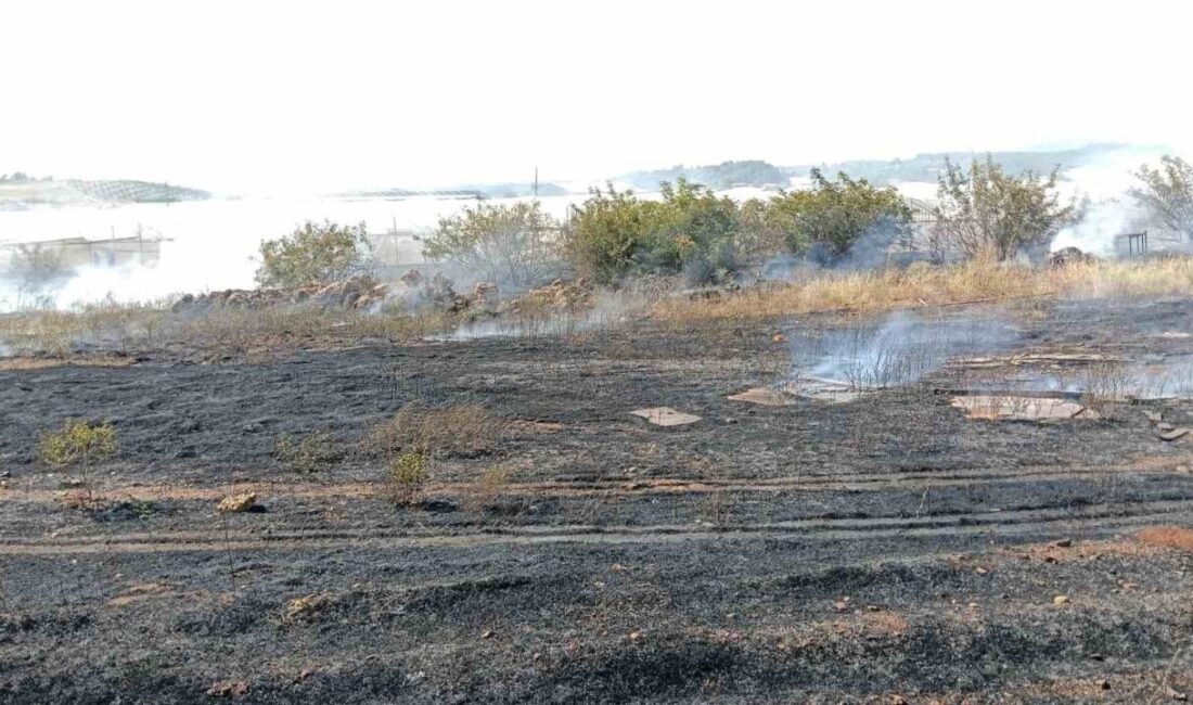 Antalya’nın Serik ilçesindeki bir otluk alan yangını, çok hızlı bir