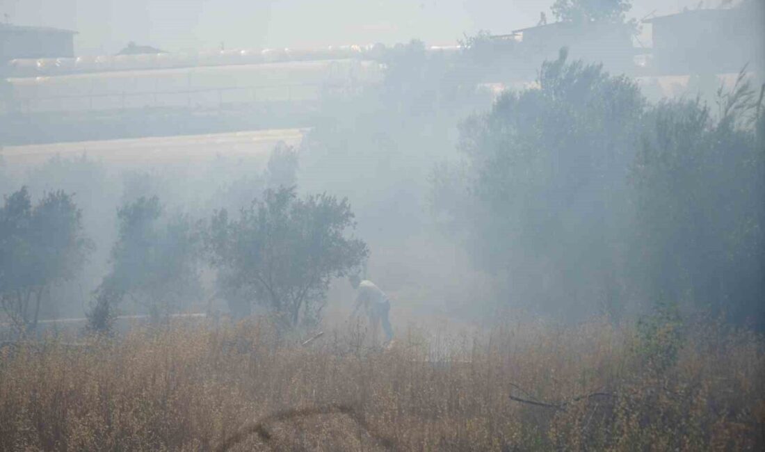 Antalya’nın Aksu ilçesinde çalılık alanda başlayan yangın, hızla yayılarak seralara