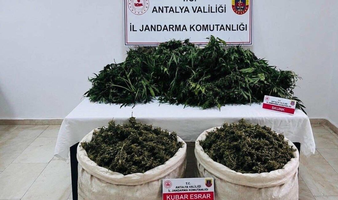 Serik ilçesinde Jandarma ekipleri tarafından gerçekleştirilen operasyonda 11 kilo 100