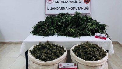 Serik ilçesinde Jandarma ekipleri tarafından gerçekleştirilen operasyonda 11 kilo 100