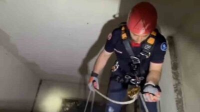 Karamürsel ilçesindeki bir apartmanın boşluğuna düşen yavru bir martı, itfaiye