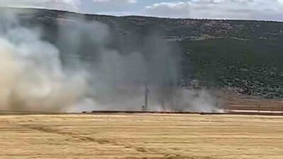 Gaziantep’in Araban ilçesinde, 93 dönümlük hasada hazır bir buğday tarlasında