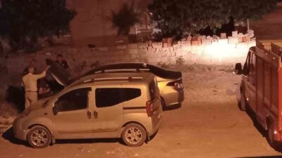 Adıyaman ilinde, bir otomobilin motor bölümüne sıkışan kedi, itfaiye ekipleri