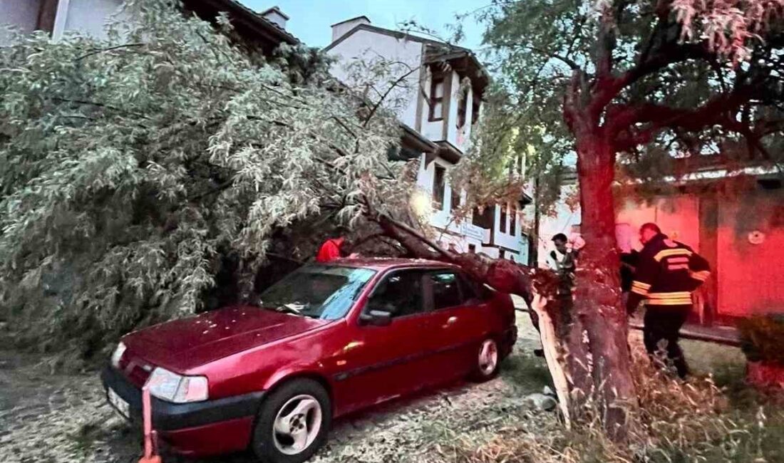 Eskişehir’de bir yaşlı ağaçtan kopup park halindeki bir otomobilin üstüne