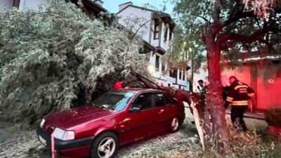Eskişehir’de bir yaşlı ağaçtan kopup park halindeki bir otomobilin üstüne