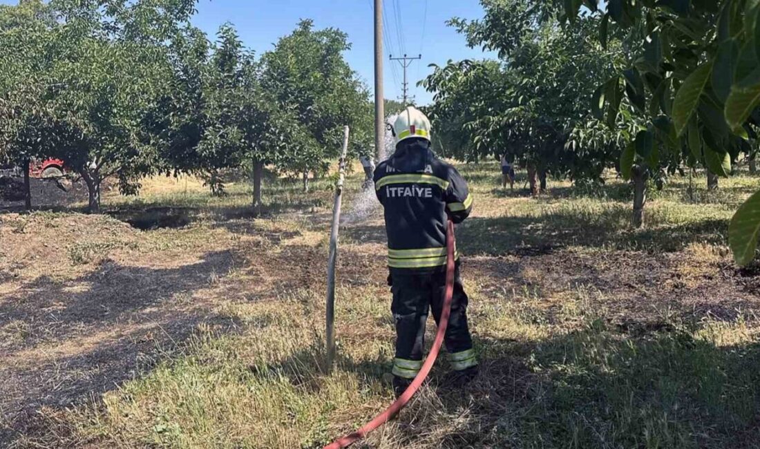 Muğla’nın Menteşe ilçesine bağlı Yenice Mahallesi’nde çıkan ot yangını, orman