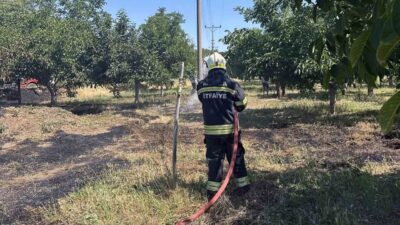 Muğla’nın Menteşe ilçesine bağlı Yenice Mahallesi’nde çıkan ot yangını, orman