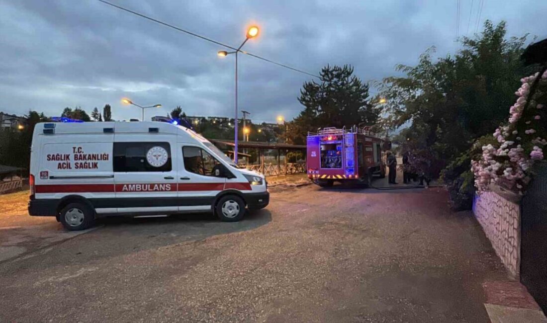 Karabük’ün 5000 Evler Bahçelievler Mahallesi’nde, 15. Sokak’ta bulunan bir ardiyede