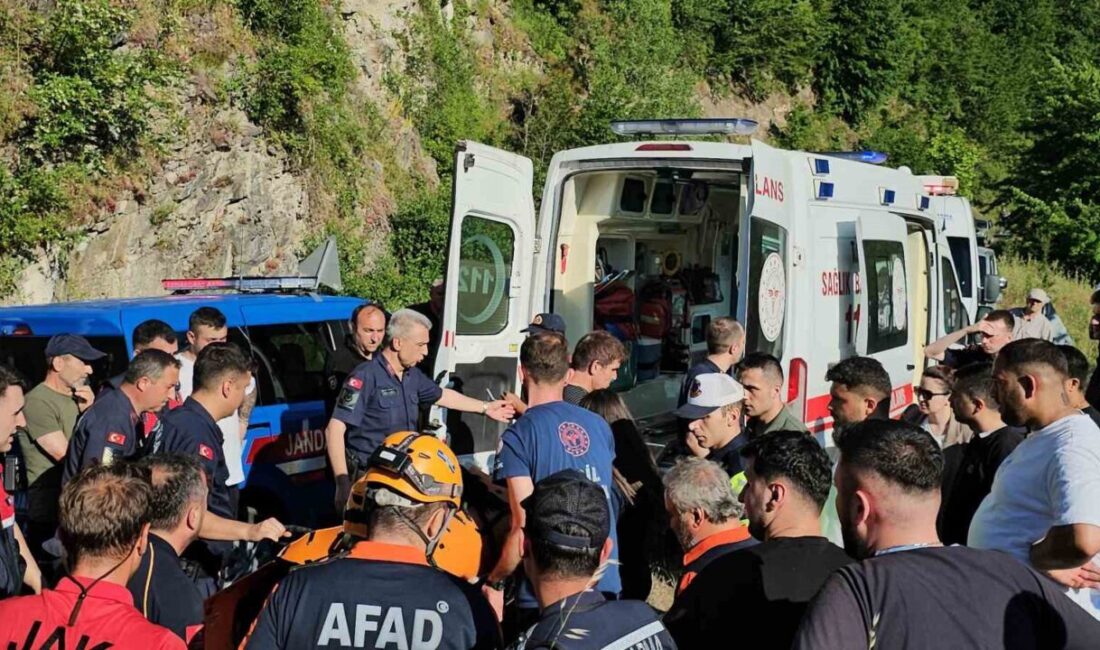 Zonguldak’ta, arkadaşlarıyla birlikte girdiği şelalede kaybolan genç, hayatını kaybetti. Alimler