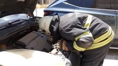 Hatay’ın Arsuz ilçesinde, bir aracın motor kısmına giren yavru kedi,