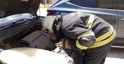 Hatay’ın Arsuz ilçesinde, bir aracın motor kısmına giren yavru kedi,