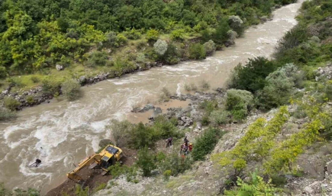 Artvin’in Şavşat ilçesinde, bir baba ile oğlunun bulunduğu aracın Şavşat