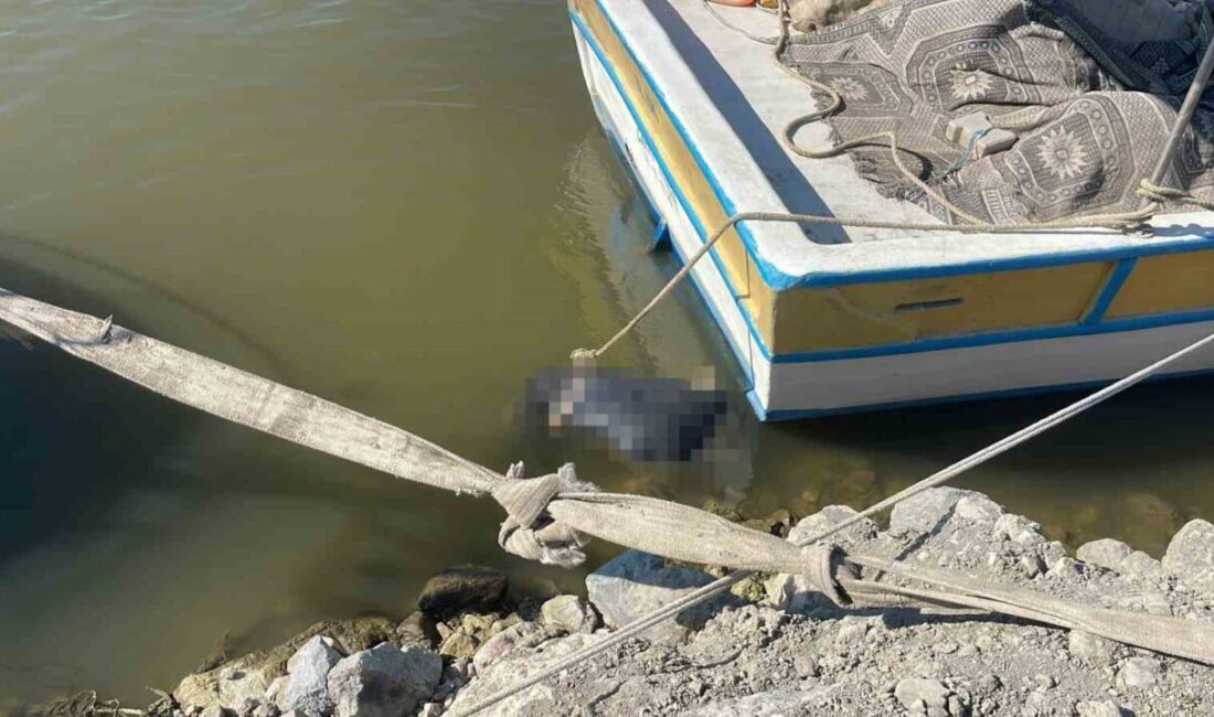 Samandağ ilçesinde, Asi Nehri’nin denize karıştığı noktada bir erkek cesedi