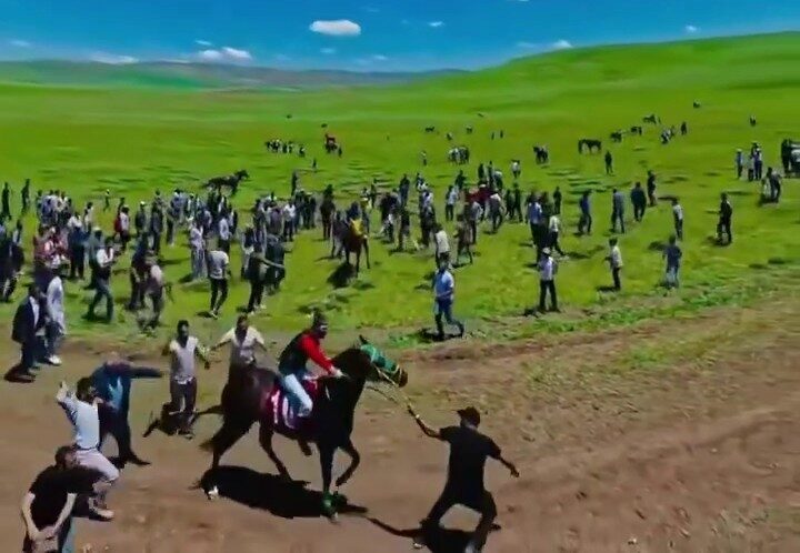 Erzurum’un Tekman ilçesinde düzenlenen at yarışlarında bir atın uygunsuz bir