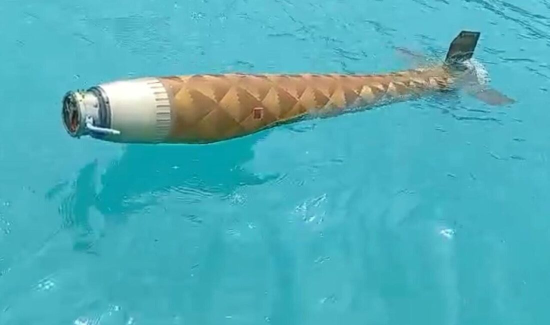 Sinop’un Ayancık ilçesi açıklarında şüpheli bir cisim bulundu. Olay, Bahçeli