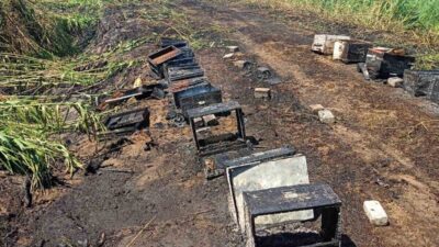 Aydın’ın İncirliova ilçesinde meydana gelen yangında, 20 arı kovanındaki binlerce