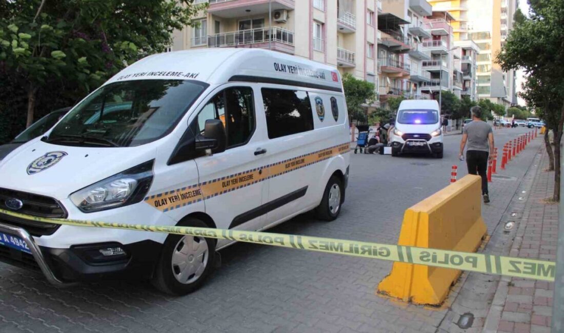 Aydın’ın Efeler ilçesinde bulunan polis merkezinin karşısına terk edilmiş olan