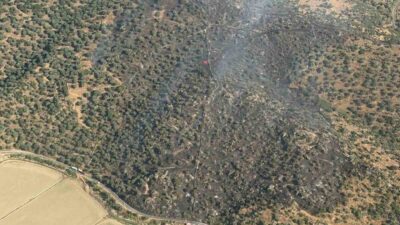 Söke ilçesinde yol kenarında çıkan bir yangın zeytinlik alana sıçradı