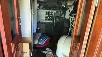 Çanakkale’nin Ayvacık ilçesine bağlı Küçükçetmi köyünde bulunan bir villada çıkan
