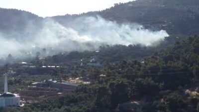 Ayvacık ilçesinde, henüz belirlenemeyen bir sebepten dolayı zeytinlik alanda çıkan