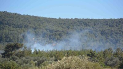 Balıkesir’in Ayvalık ilçesinde bir çiftlikte başlayan yangın, ormanlık alana sıçradı