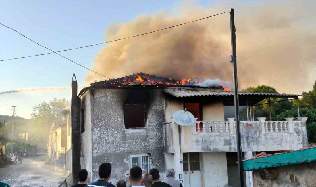 Balıkesir’in Ayvalık ilçesinde, Küçükköy Mahallesi’nde saat 19.30 sularında metruk bir