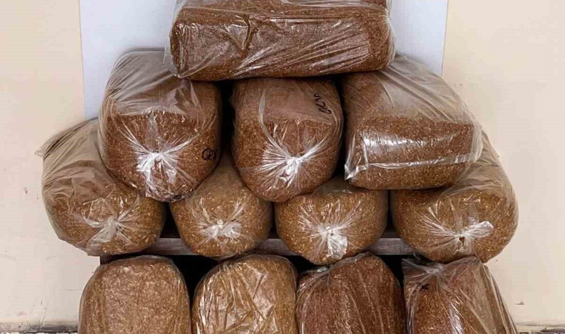 Samsun’un Bafra ilçesinde gerçekleştirilen bir operasyonda 60 kilo kaçak tütün
