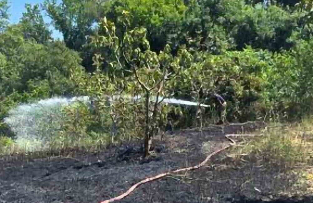 Bir bağ evinin bahçesinde çıkan yangın, Bursa’nın Mudanya ilçesine bağlı