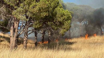 Balıkesir’in Ayvalık ilçesindeki bir otluk alanda başlayan yangın, rüzgarın etkisiyle