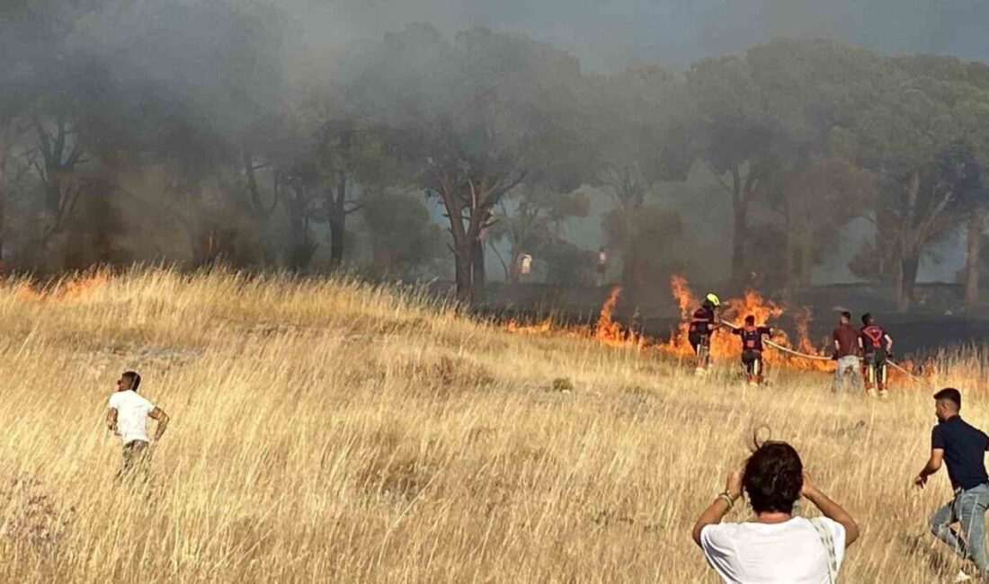 Sakarya Mahallesi’nde, Cennet Tepesi eteklerindeki otluk alanda çıkan yangın, şiddetli