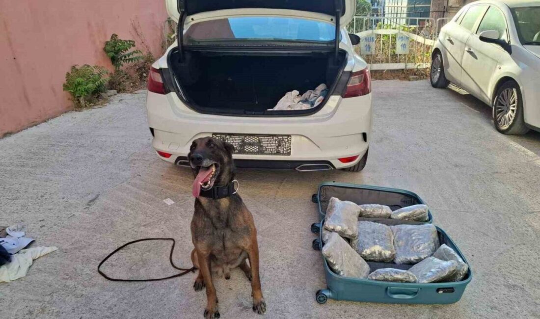 Balıkesir polisi, Balıkesir Cumhuriyet Başsavcılığı koordinesinde gerçekleştirdiği operasyonla tarihin en