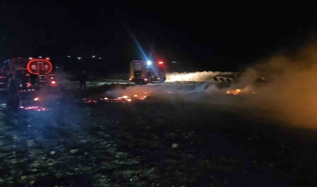 Balıkesir’de Karamanköy Mahallesi’nde otluk alanda çıkan yangın geceyi ışıl ışıl